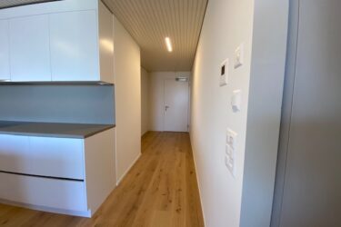 Penthouse C2103 - Eingang (21. OG)